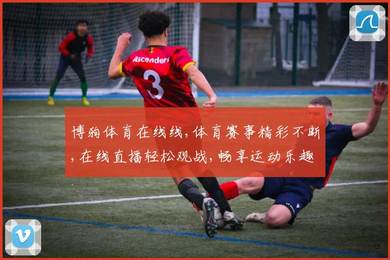 博狗体育在线线,体育赛事精彩不断,在线直播轻松观战,畅享运动乐趣